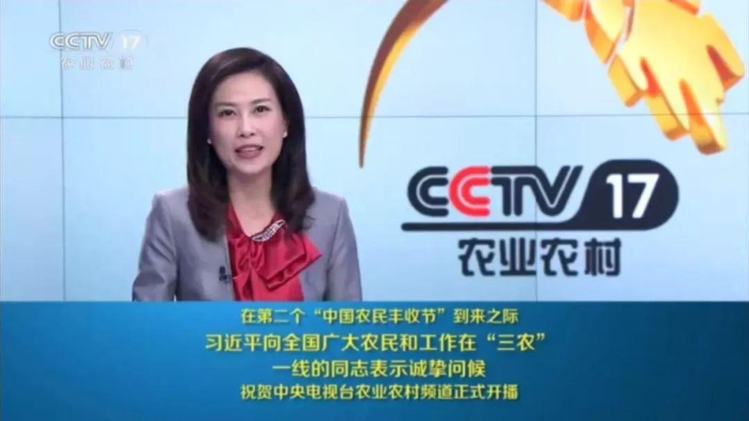CCTV7軍事頻道軍事報(bào)道，深度解析軍事動(dòng)態(tài)，展現(xiàn)國(guó)防力量，CCTV7軍事頻道深度解析軍事動(dòng)態(tài)，展現(xiàn)國(guó)防力量風(fēng)采