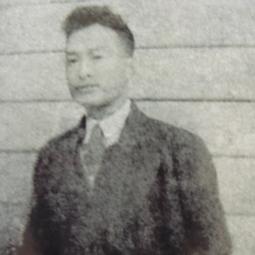 西陸軍亊網(wǎng)，探索與解析，西陸軍亊網(wǎng)深度探索與解析