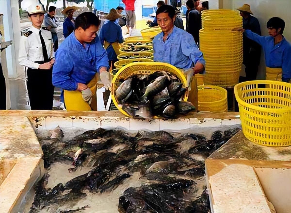 臺(tái)灣急了，又一國(guó)家面臨斷交風(fēng)波
