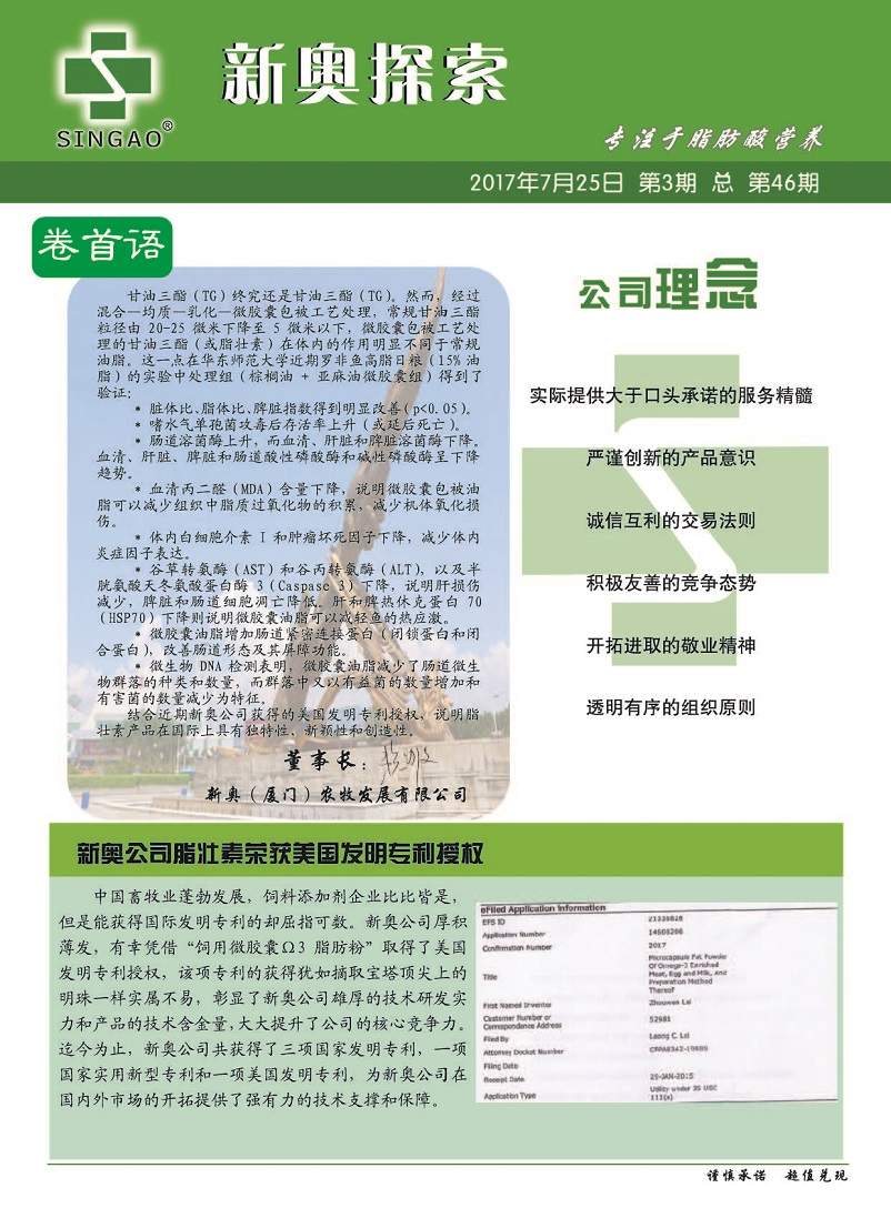 2023年新澳正版資料最新更新——全面解讀與SEO優(yōu)化策略，2023年新澳正版資料最新解讀與SEO優(yōu)化策略全面指南