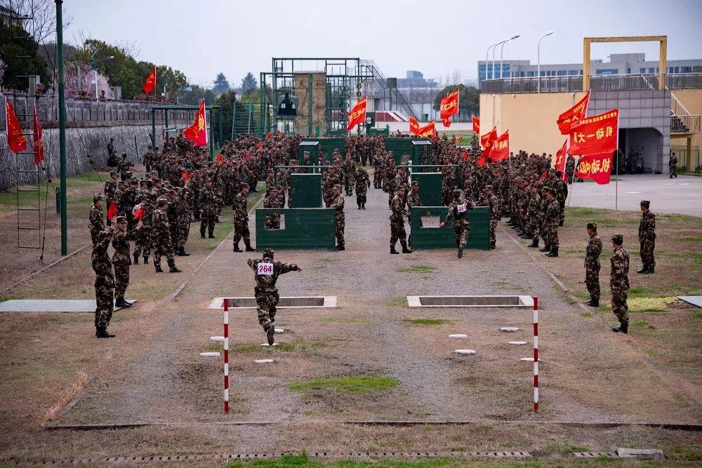 軍事頭條最新資訊，深度解析全球軍事動態(tài)，全球軍事動態(tài)深度解析，軍事頭條最新資訊