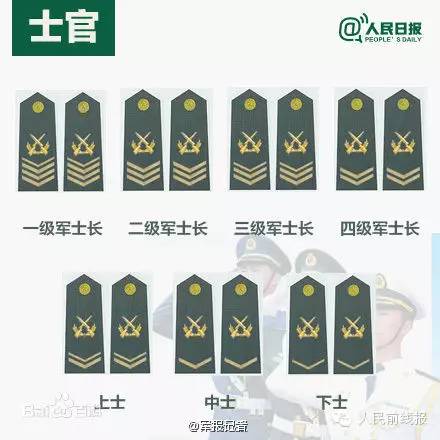 部隊軍銜等級排名與團長的職責(zé)與地位，部隊軍銜等級排名與團長職責(zé)地位概述