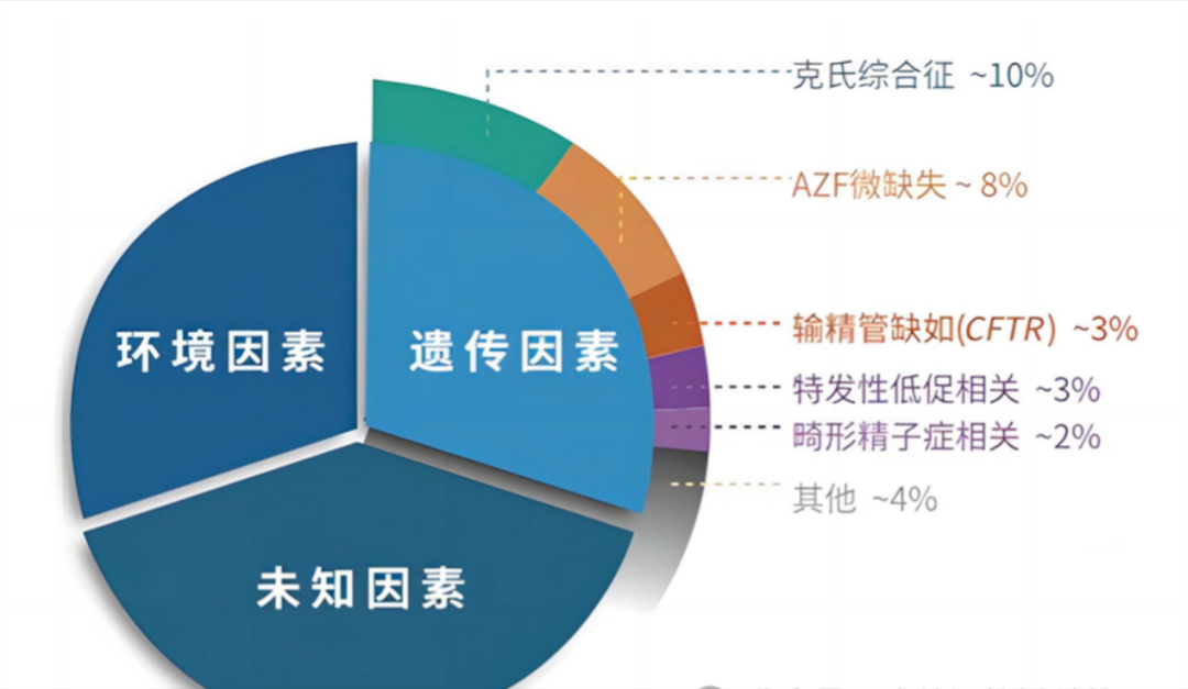 男性不育自測，了解風(fēng)險，早期預(yù)防與治療選擇，男性不育風(fēng)險自測與早期預(yù)防治療指南