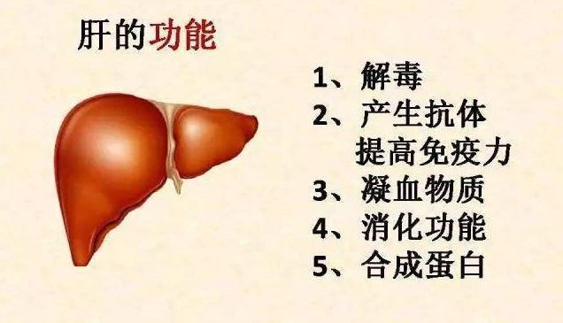 霉菌排出來的圖片，揭示霉菌的微觀世界之美，霉菌微觀世界之美，微觀圖片揭示霉菌獨(dú)特魅力