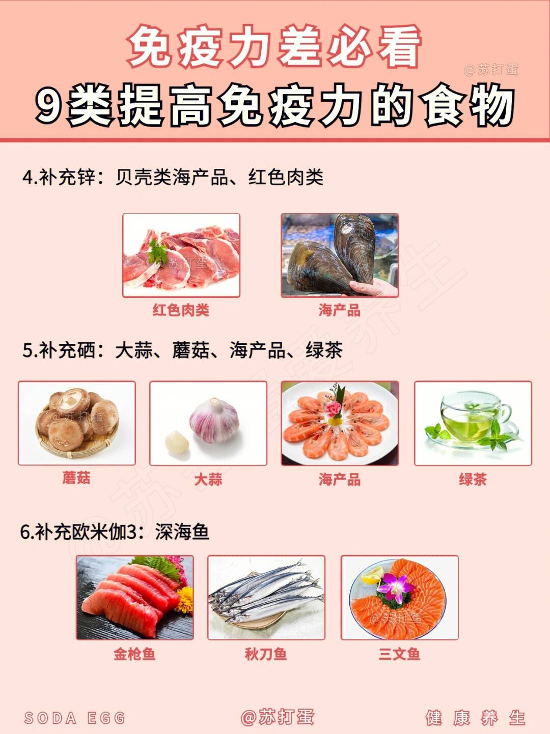 十大提高免疫力的食物排行榜——健康生活的最佳選擇，十大提高免疫力食物榜單，引領(lǐng)健康生活的秘密武器