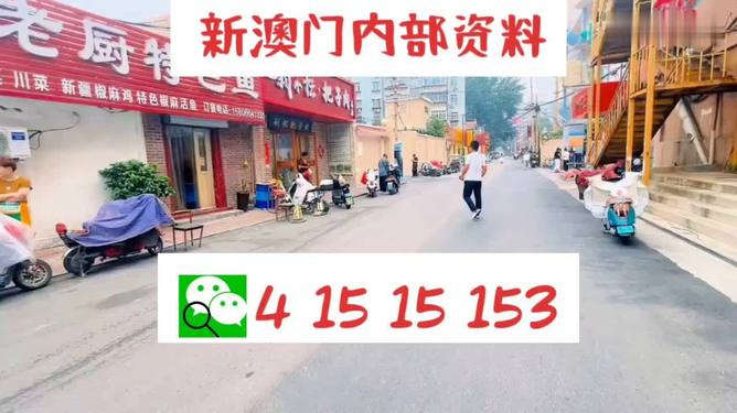 2025澳門天天開好彩大全——探索彩票的奧秘與魅力所在，揭秘澳門彩票奧秘與魅力，2025天天好彩大全