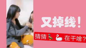 王中王巜欲錢詩猜一肖——探尋神秘生肖之謎，神秘生肖之謎，王中王巜欲錢詩揭曉答案