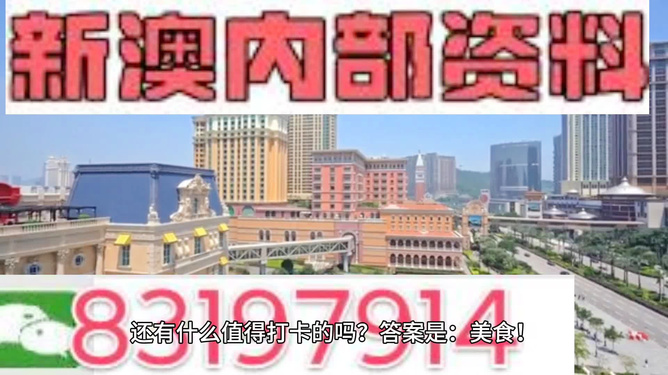 澳門(mén)免費(fèi)精準(zhǔn)資料，探索204年的秘密與機(jī)遇，澳門(mén)204年秘密與機(jī)遇探索，免費(fèi)精準(zhǔn)資料揭秘