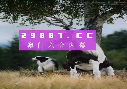 澳門四不像正版四不像網(wǎng)站，探索真實(shí)與虛幻的交融之地，澳門四不像正版網(wǎng)站，真實(shí)與虛幻的交融探索