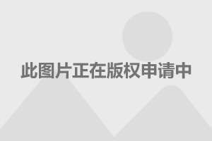 真正的明星電話號碼，探尋星光背后的聯(lián)系方式，探尋明星真實電話號碼，星光背后的聯(lián)系方式揭秘