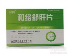 腸炎寧片，功效主治詳解，腸炎寧片，功效與主治詳解