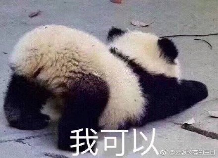 四不像與一肖王中王，無需比較的獨(dú)特魅力，四不像與一肖王中王，獨(dú)特魅力的展現(xiàn)