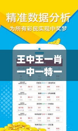 揭秘王中王與肖中的獨(dú)特魅力，探尋背后的故事與秘密，王中王與肖中的獨(dú)特魅力揭秘，探尋背后的故事與秘密傳奇。