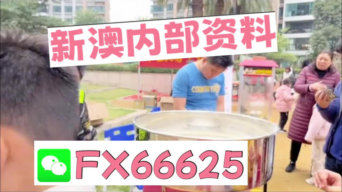 澳門正版免費(fèi)全年資料大全旅游團(tuán)，探索澳門之美的絕佳選擇，澳門正版全年資料大全旅游團(tuán)，探索澳門之美的最佳指南