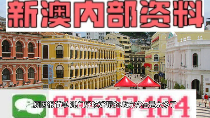 澳門4949資料免費(fèi)大全——探索澳門彩票的奧秘，澳門彩票奧秘揭秘，4949資料免費(fèi)大全探索