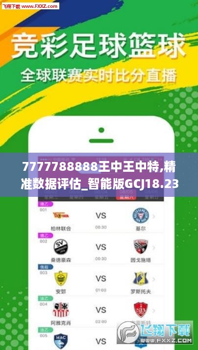 王中王精選四肖之一的奧秘與魅力，王中王精選四肖之奧秘與魅力揭秘