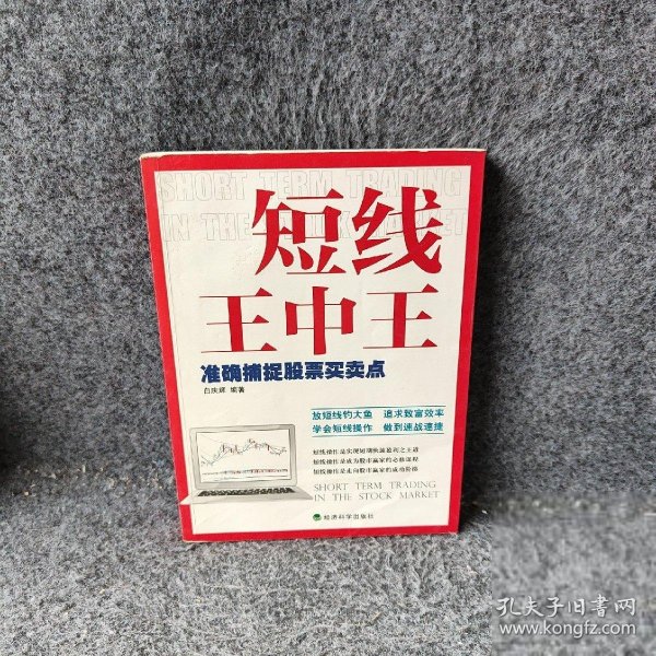 平特一肖網王中王，揭秘其背后的秘密與SEO策略，揭秘平特一肖網王中王背后的秘密與SEO策略之道