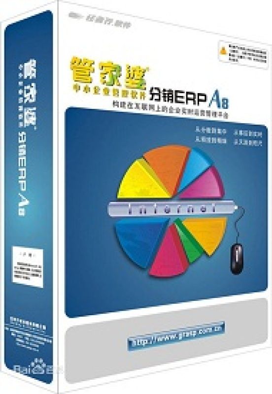 管家婆，全面解析這一職業(yè)的魅力與重要性，管家婆，職業(yè)魅力與重要性的全面解析