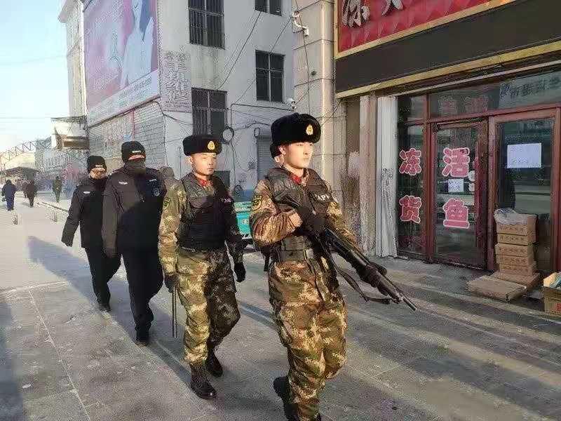 武警和特警誰出動嚴重，職責與能力的深度解析，武警與特警的職責、能力與出動情境的深度解析，誰出動更為嚴峻？