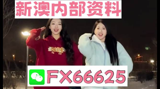 新澳門一肖一特一中，探索與解析，新澳門一肖一特一中，深度探索與解析