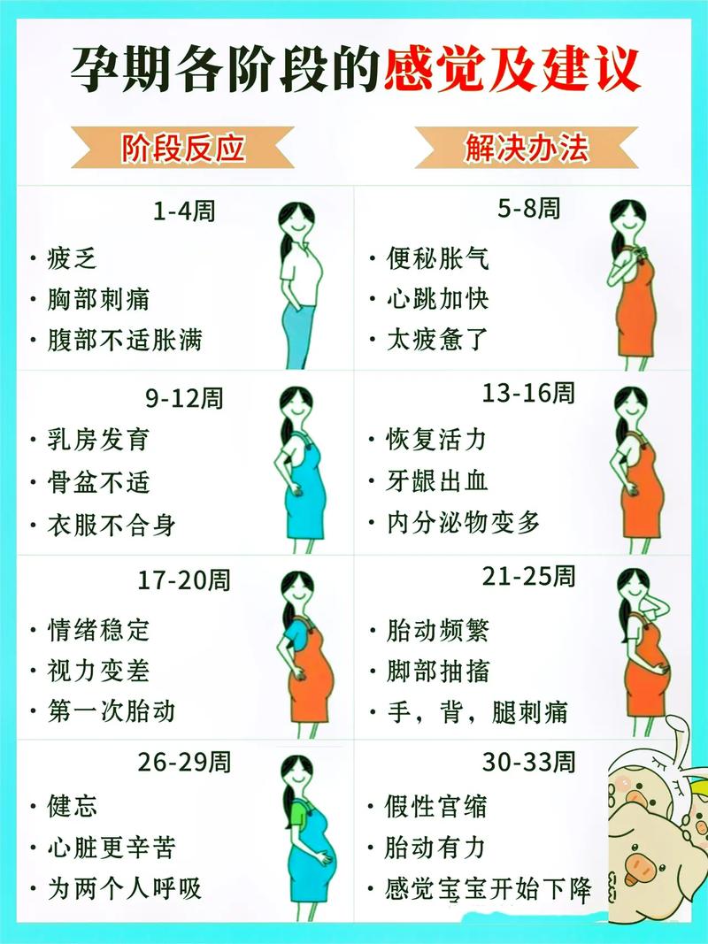 懷孕前最準(zhǔn)的跡象，揭示早期懷孕的跡象與征兆，懷孕早期跡象與征兆揭秘，懷孕前的最準(zhǔn)跡象全解析