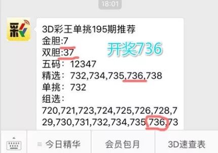 王中王一肖中特4993，探索關鍵詞背后的故事，王中王一肖中特4993，揭秘關鍵詞背后的故事