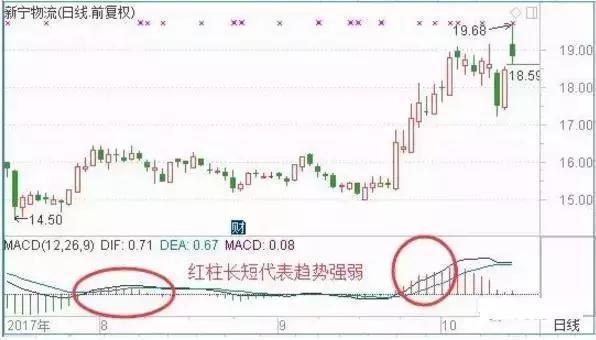 王中王一肖最準選料，揭秘精準選擇之秘，揭秘王中王一肖最準選料，精準選擇的秘密之道