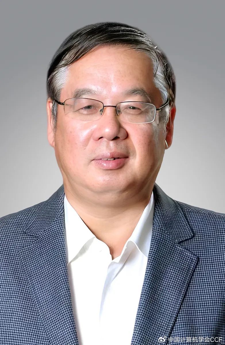 王中王平特一肖心水論沄，深度解析與探索，王中王平特一肖心水論沄，深度解析與探索之旅
