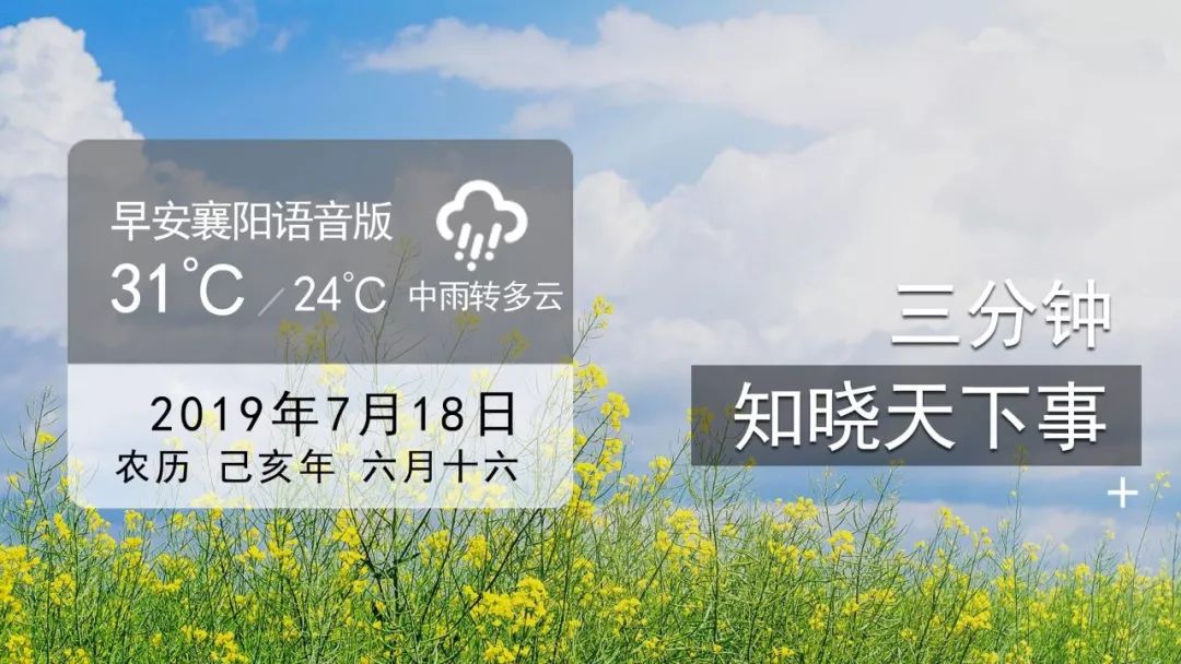 每期必中三中三，揭秘彩票背后的秘密策略與技巧，揭秘彩票中獎背后的策略與技巧，每期三中三實戰(zhàn)解析