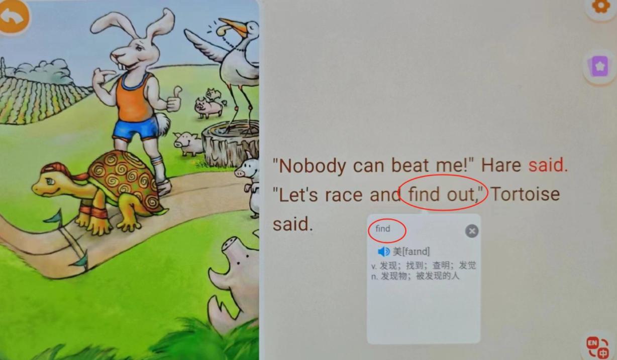 抓住英語老師的兩只兔子，探索英語學(xué)習(xí)的樂趣與挑戰(zhàn)，英語老師的兔子，探索學(xué)習(xí)樂趣與挑戰(zhàn)的旅程