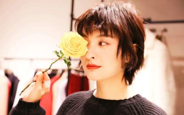 吳昕結(jié)婚了，揭秘明星的婚姻生活與SEO洞察，吳昕的婚姻生活揭秘，明星婚戀背后的SEO洞察與熱議焦點