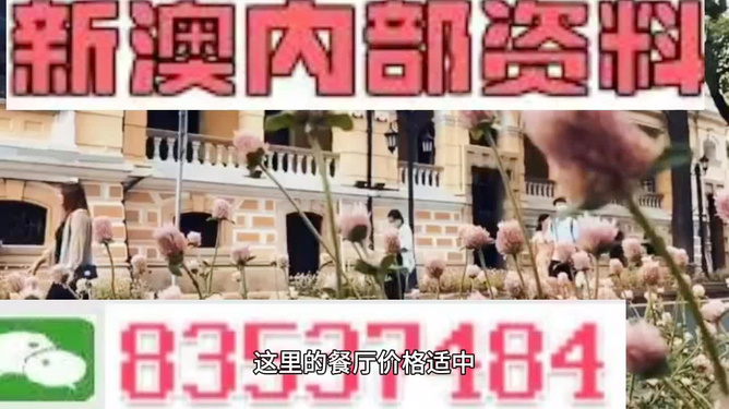香港最快最精準(zhǔn)免費(fèi)資料獲取指南，香港免費(fèi)資料獲取指南，快速精準(zhǔn)獲取資訊