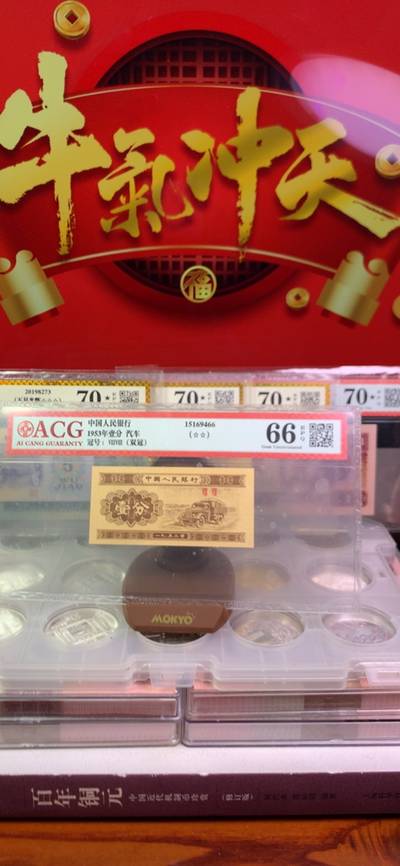 王中王掛牌一肖，深度解析背后的故事，王中王掛牌一肖背后的故事深度解析