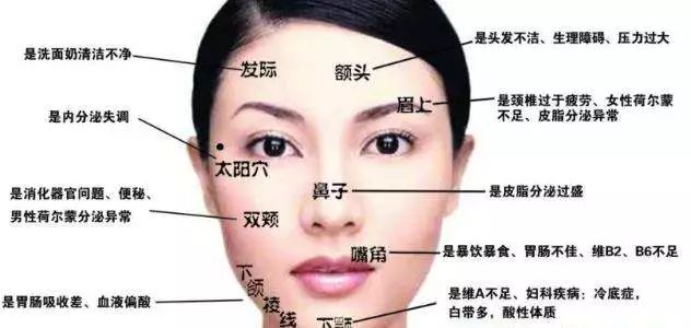 臉部長痘對應五臟的圖，解讀身體內(nèi)部的健康信號，臉部痘痘與五臟關系圖解，解讀身體內(nèi)部健康信號指南