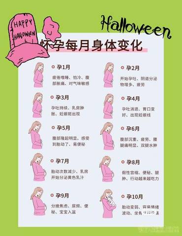 正常人懷孕的時(shí)間周期，多久才會(huì)懷孕？，懷孕的時(shí)間周期解析，多久才會(huì)懷孕？