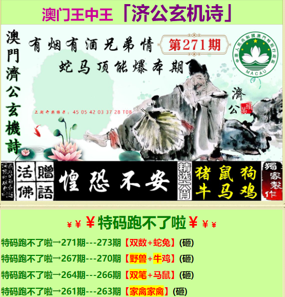 關(guān)于224558王中王平特一肖C的全面解析與探討，關(guān)于王中王平特一肖C的全面解析與探討