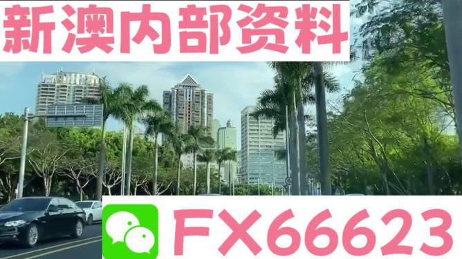新澳2025年精準(zhǔn)資料，未來展望與深度解析，新澳2025年精準(zhǔn)資料深度解析與未來展望