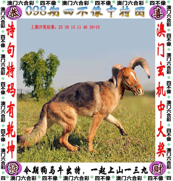 今晚王中王四不像一肖圖，揭秘背后的奧秘與吸引力，揭秘王中王四不像一肖圖的奧秘與吸引力
