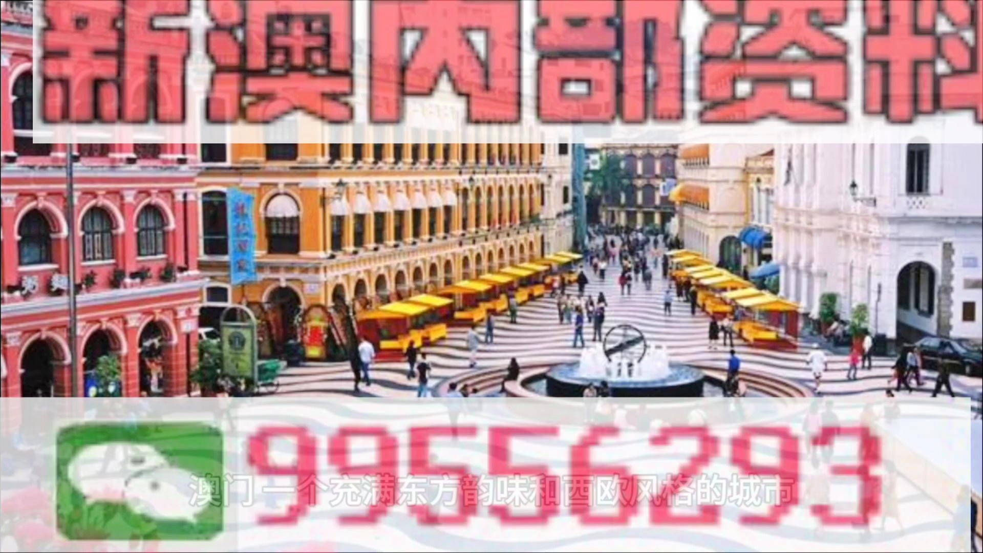 新澳門期期準，探索澳門的最新魅力與機遇，澳門新魅力與機遇探索，期期精彩呈現(xiàn)