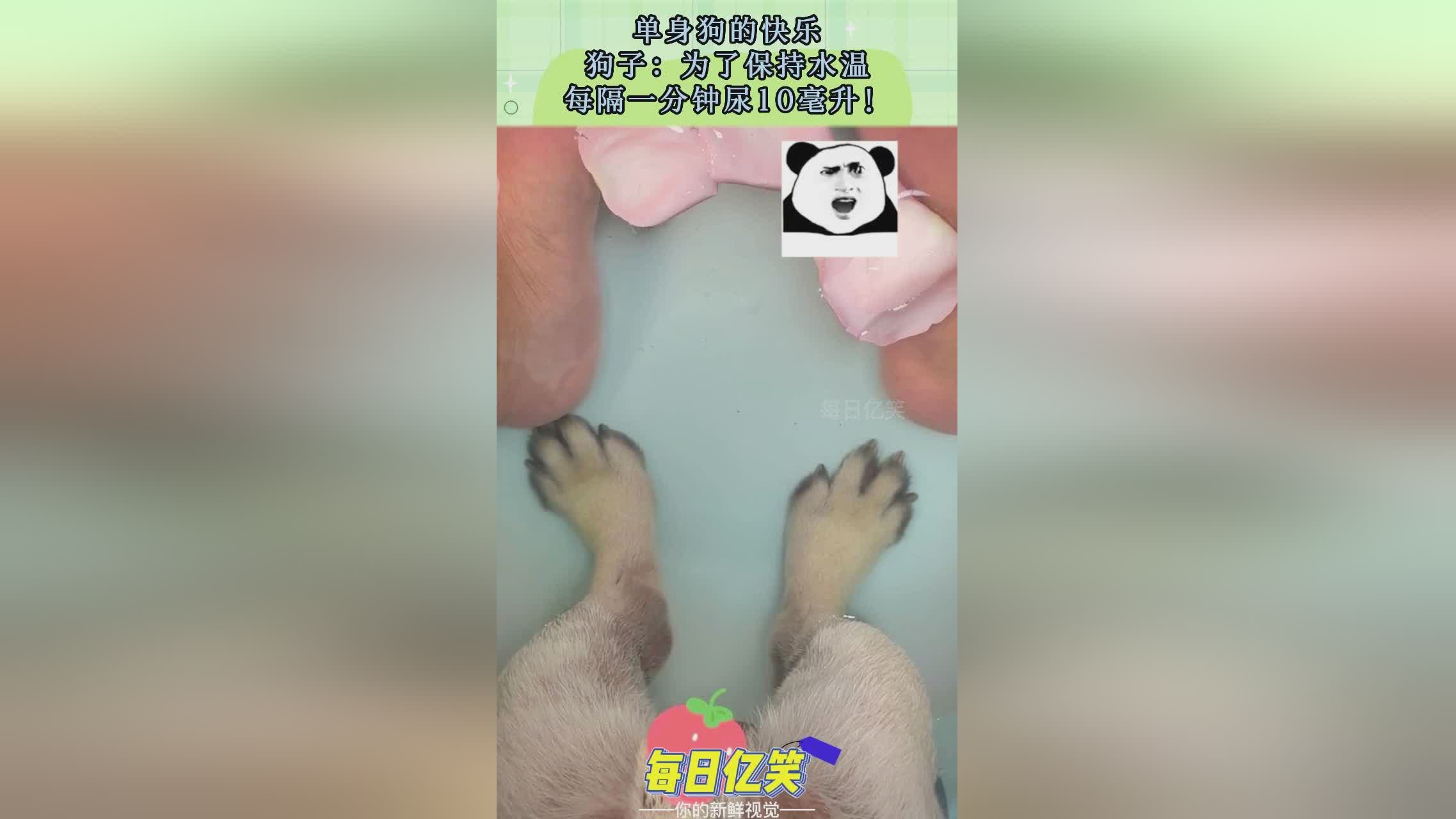 關(guān)于隔幾分鐘就想尿的問(wèn)題，原因分析及解決方法，隔幾分鐘就想尿的原因解析與解決方案探討