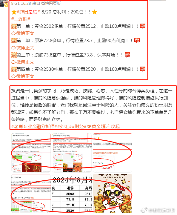 香港一肖平特王中王，揭秘背后的秘密與策略，揭秘香港肖平特王中王背后的秘密與策略