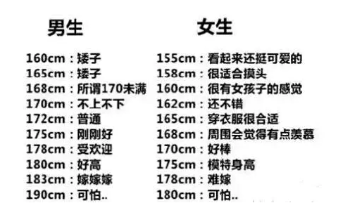 姑娘們的理想尺寸，探尋完美身材的奧秘，探尋姑娘們的理想身材尺寸，完美身材奧秘解析