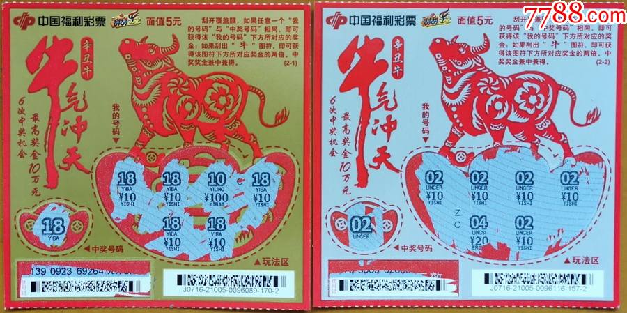 當(dāng)頭棒喝王中王，揭秘生肖背后的神秘力量，揭秘生肖背后的神秘力量，王中王的當(dāng)頭棒喝