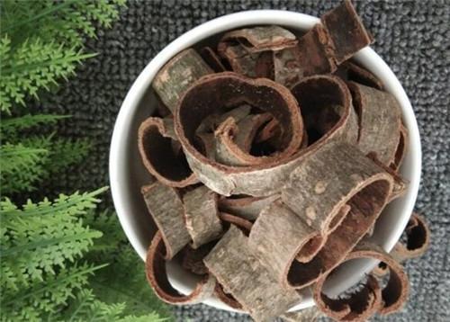 姜厚樸，功效與作用解析，姜厚樸，功效與作用深度解析