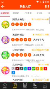 澳門(mén)王中王六肖一碼七天，揭秘彩票背后的秘密，揭秘澳門(mén)王中王六肖一碼七天彩票背后的秘密