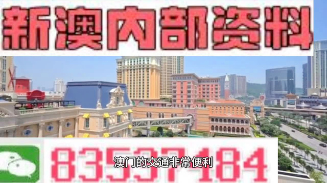 澳門天天免費精準(zhǔn)大全——探索澳門的無盡魅力與精彩活動，澳門精彩活動大全，探索無盡魅力與免費精準(zhǔn)指南