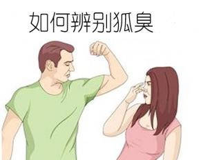 狐臭與腋臭的區(qū)別解析，狐臭與腋臭的區(qū)別深度解析