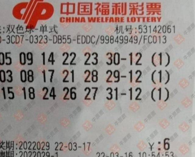 揭秘029期王中王平特一肖，運(yùn)勢與策略分析，揭秘王中王平特一肖運(yùn)勢與策略分析（第029期詳解）