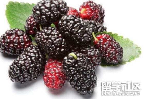 蒼穹之翼 第2頁
