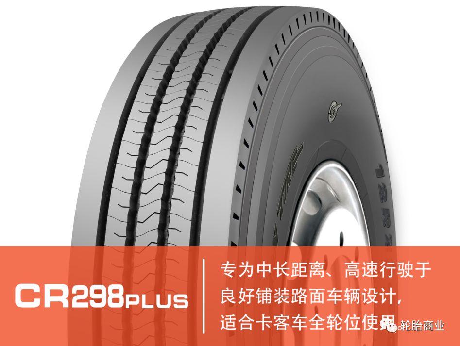 王中王298期指一生肖，探尋背后的秘密與意義，王中王298期生肖背后的秘密與意義探尋